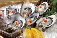 NAMA KAKI FRESH OYSTERS