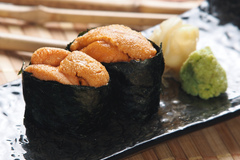 UNI (1PC)